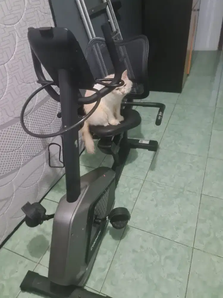 Kinetic recumben bike