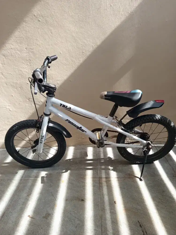 Sepeda Anak Senator 16 In