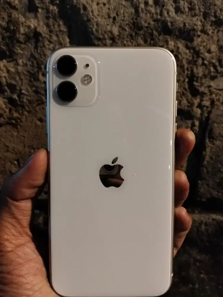 Iphone 11 128 Ibox Fullset (Ugreen)