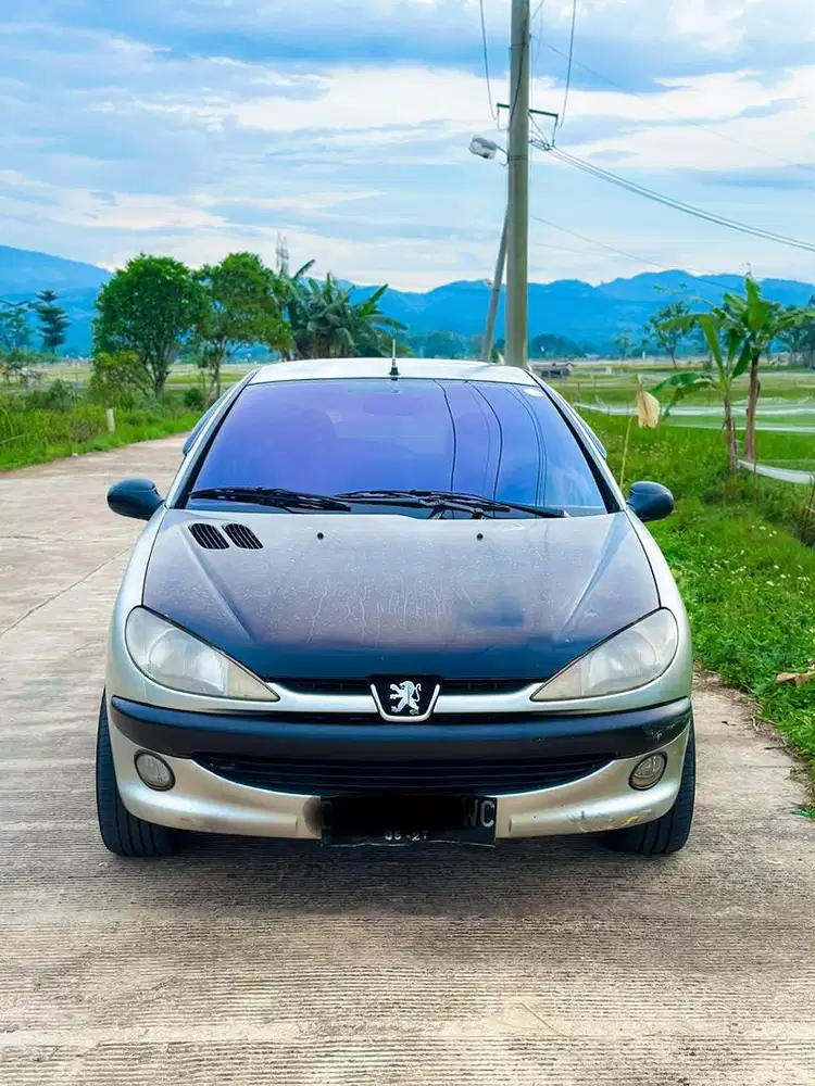 Peugeot 206 MT 2001