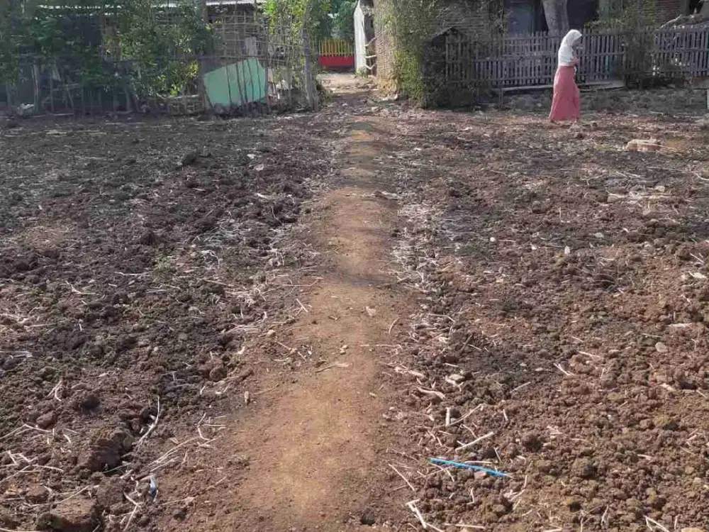 Tanah cocok untuk kapling atau perumahan