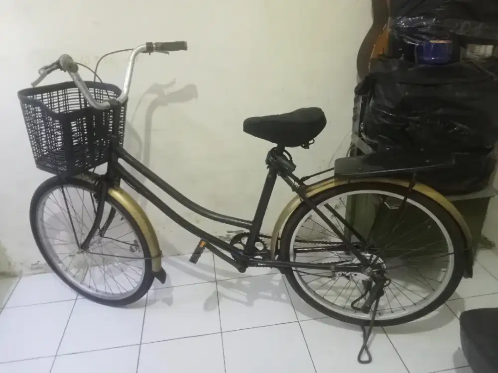 Sepeda keranjang wanita
