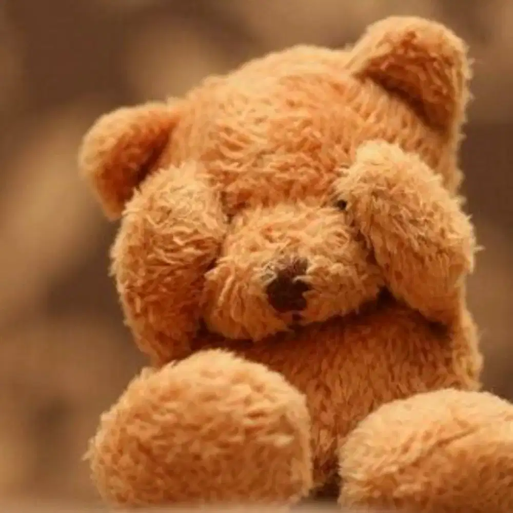 Dicari Rider Makanan Gerobak Keliling