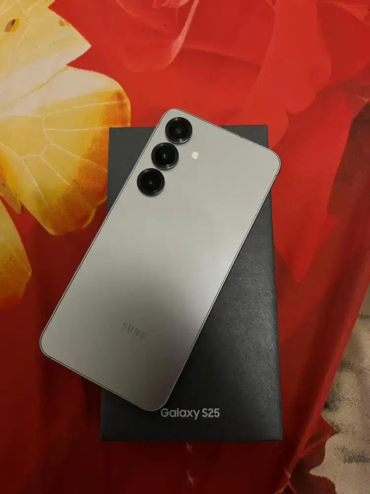 SAMSUNG S25 BASIC 12 / 256
