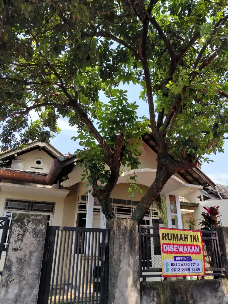 Sewa Rumah Ngalian Strategis