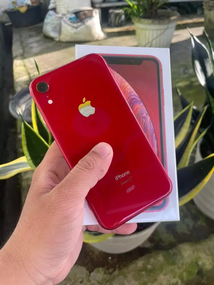 IPhone xr 64 gb ibox