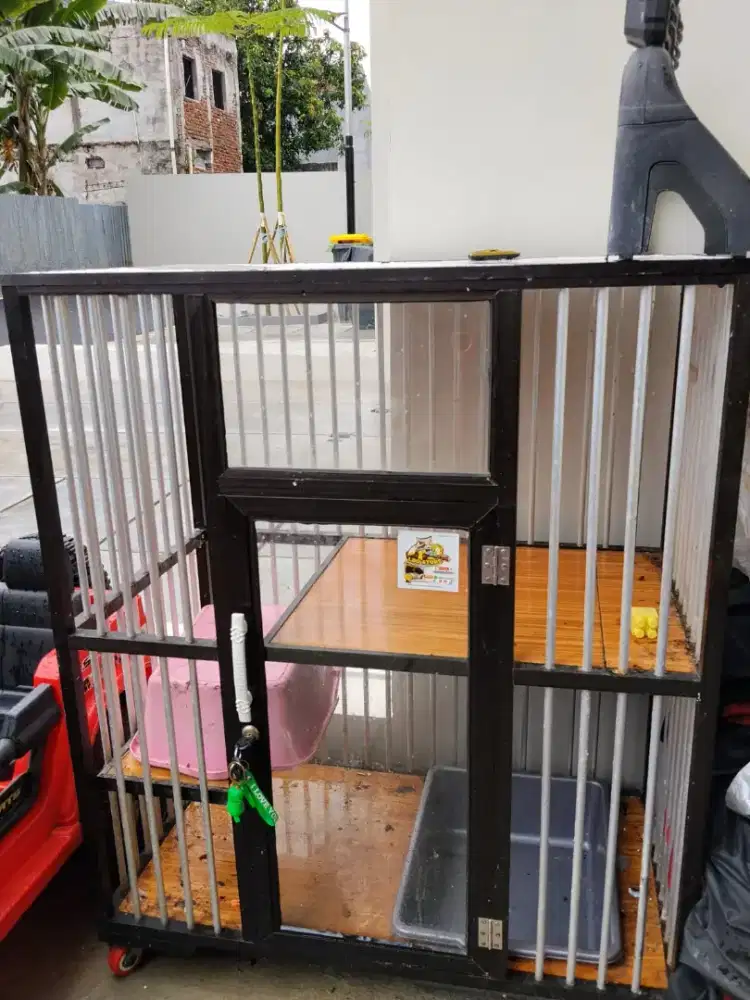 Kandang kucing masih bagus