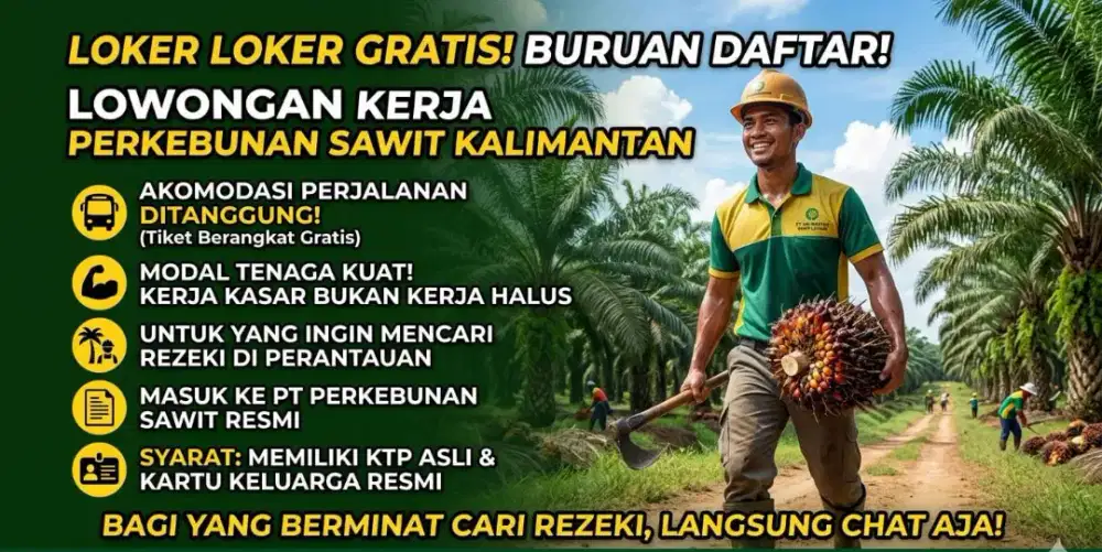 Loker pekerja sawit Kalimantan