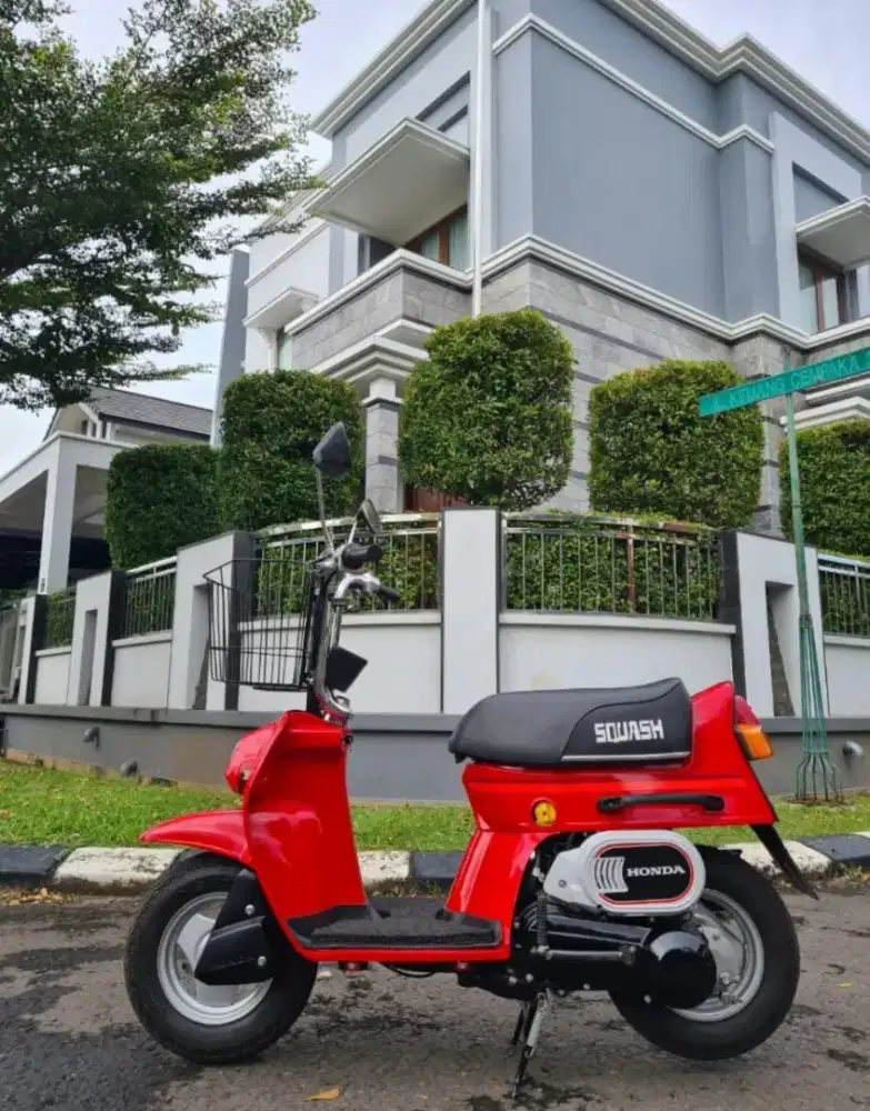 Honda squash 50cc (monkey)