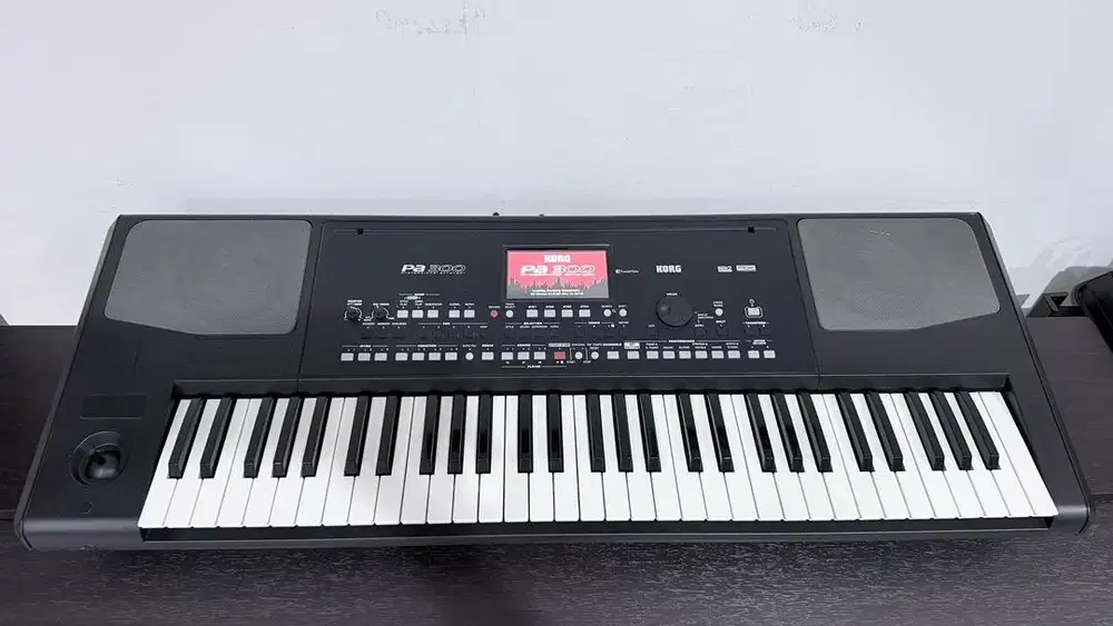 Korg Pa300 Professional Arranger Bekas Rasa Baru - Siap Manggung