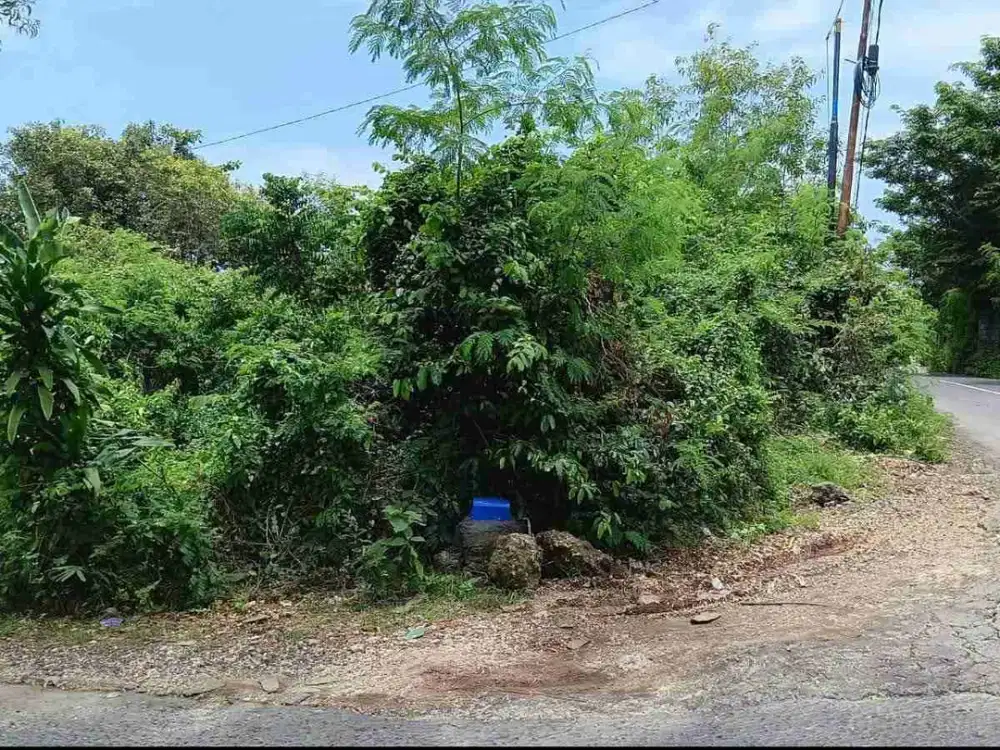 termurah!! jl merak ungasan kuta selatan 3 are tanah di jual