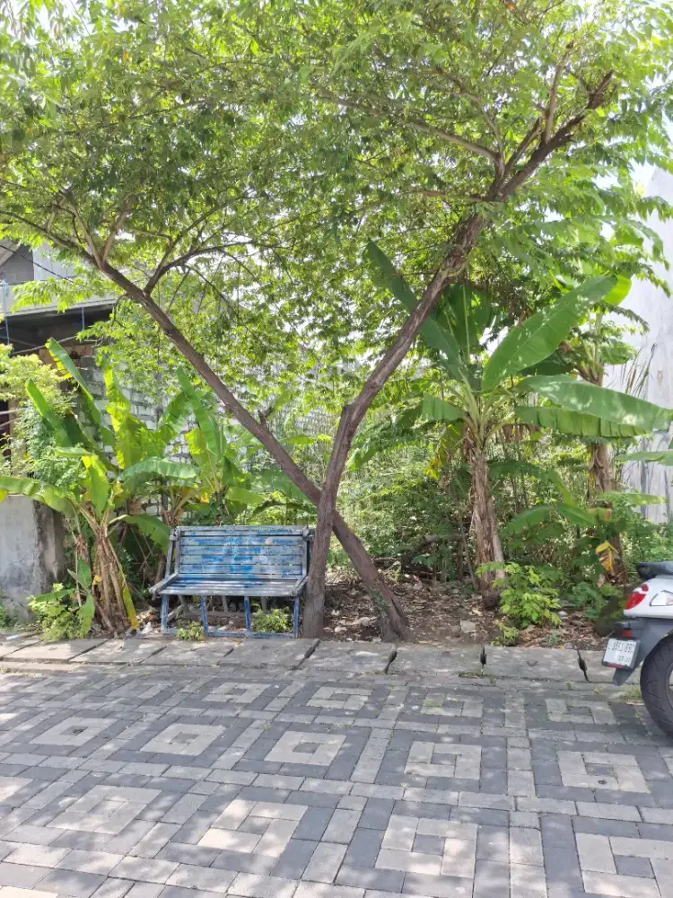 Dijual Murah Tanah SHM 6x16 tidak banjir