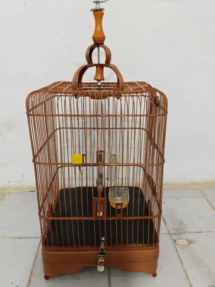 Kandang Jepara full bambu