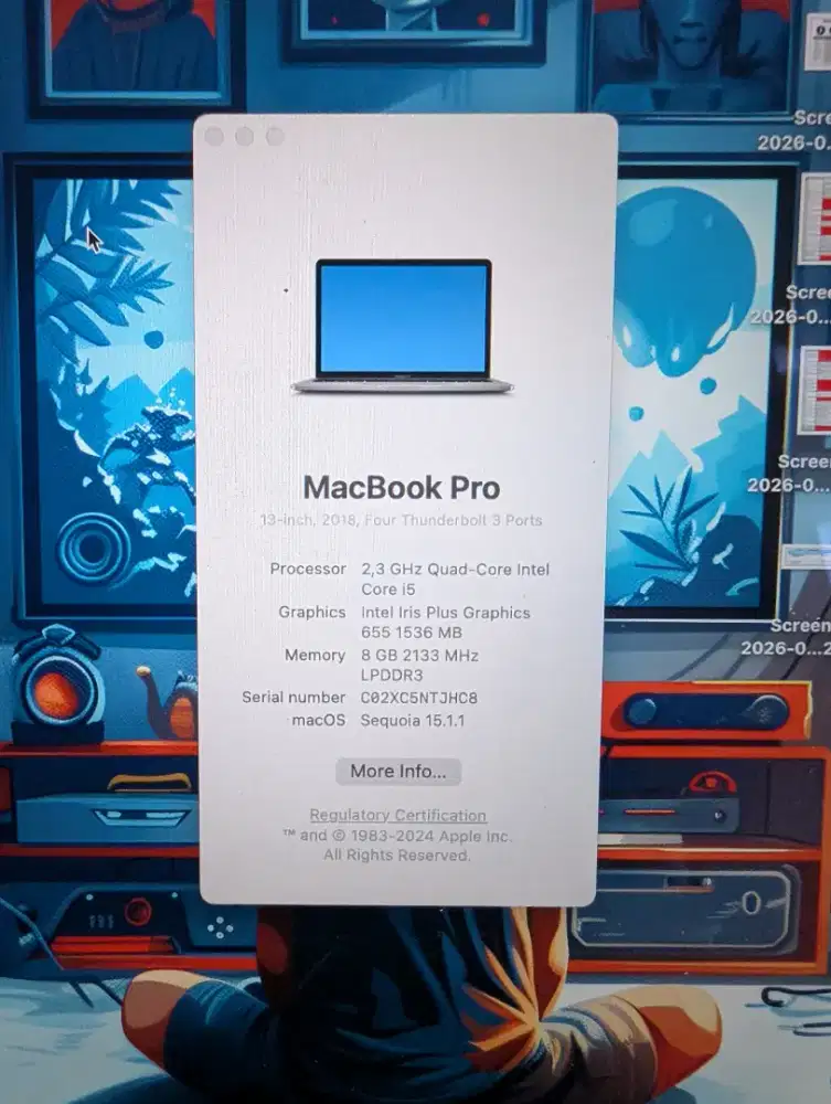 Macbook pro 13 2018