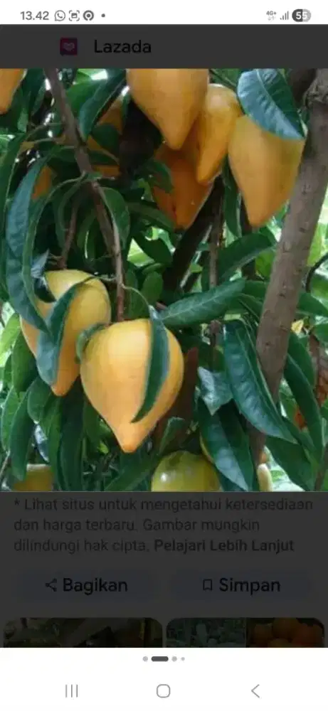 Mencari Art/nanny untuk daerah sunter usia 36-42 tahun