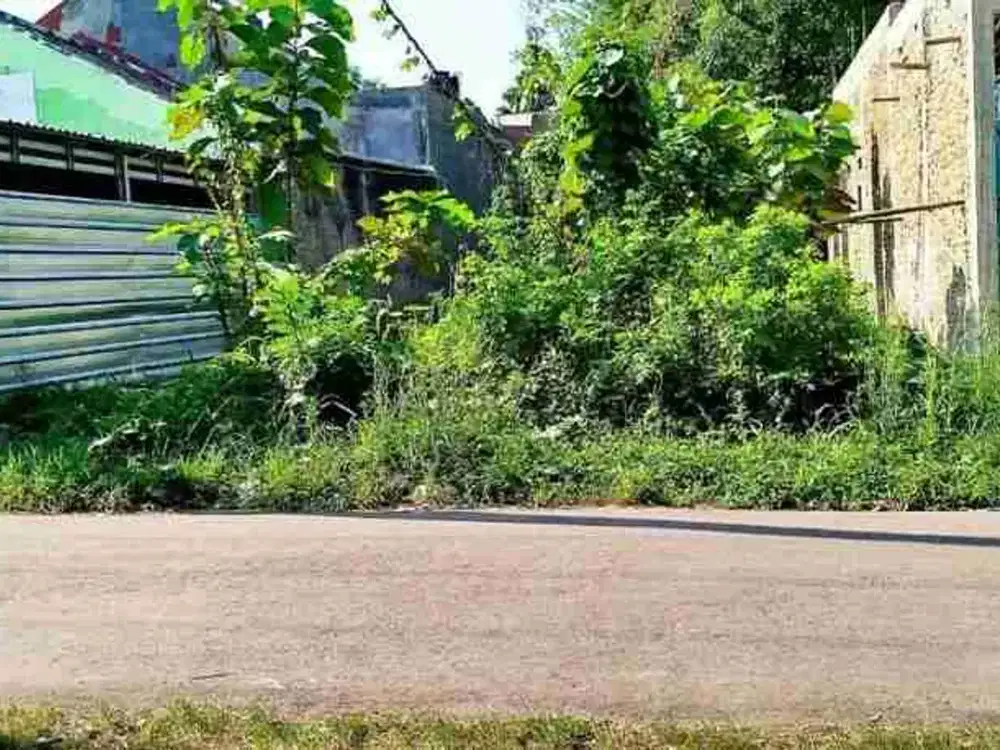 tanah murah pinggir jln