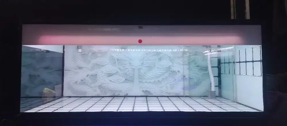 Aquarium P130 x L60 x T50 mulus