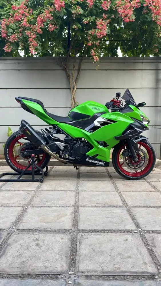Kawasaki All New Ninja 250 2018