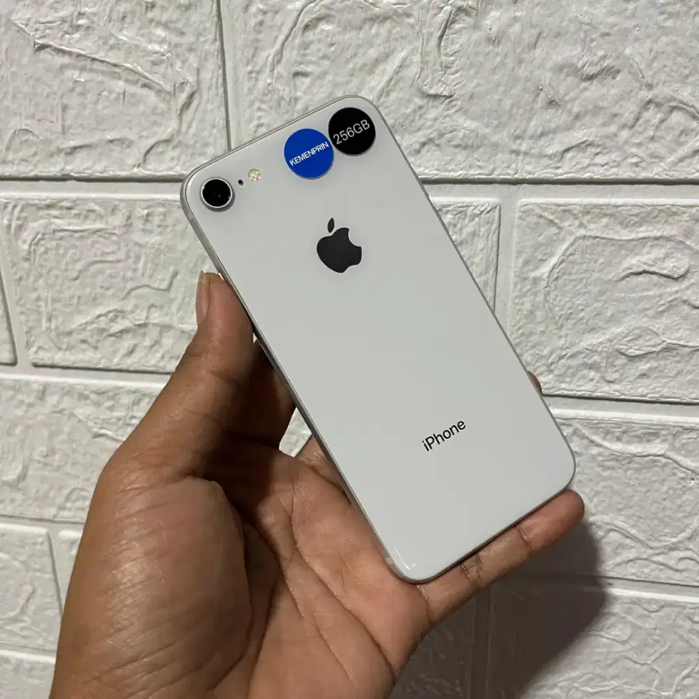 IPHONE 8 256GB INTER REGIST