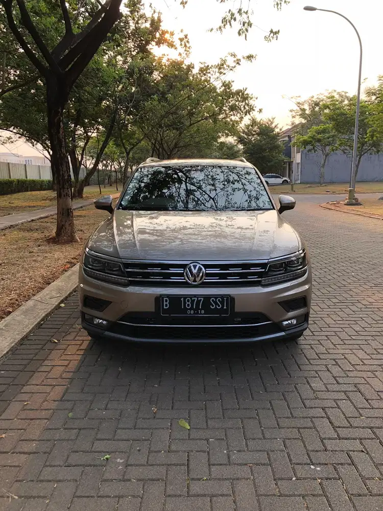 Volkswagen Tiguan 2018 Titanium Beige, PPF self-healing