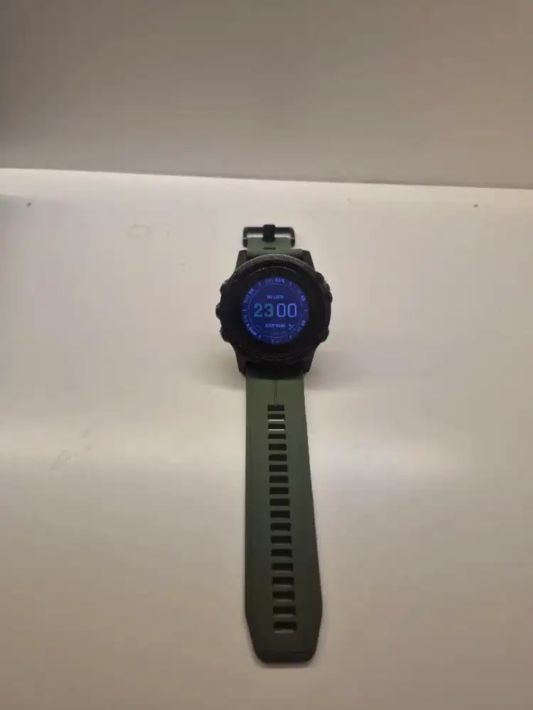 Garmin finix 5x plus