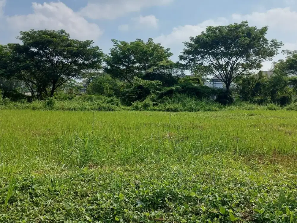 Bukit Golf Internasional Wide Golf View Citraland