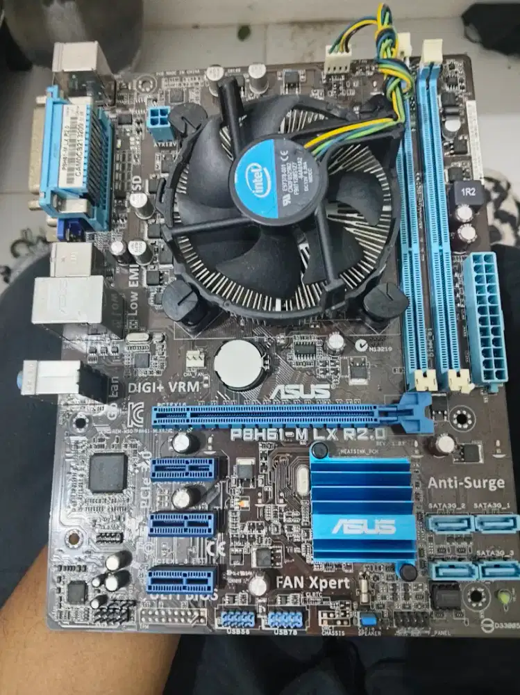 Motherboard Mainboard Asus PBH61-MLX LGA 1155 + i5 3570k (OC)