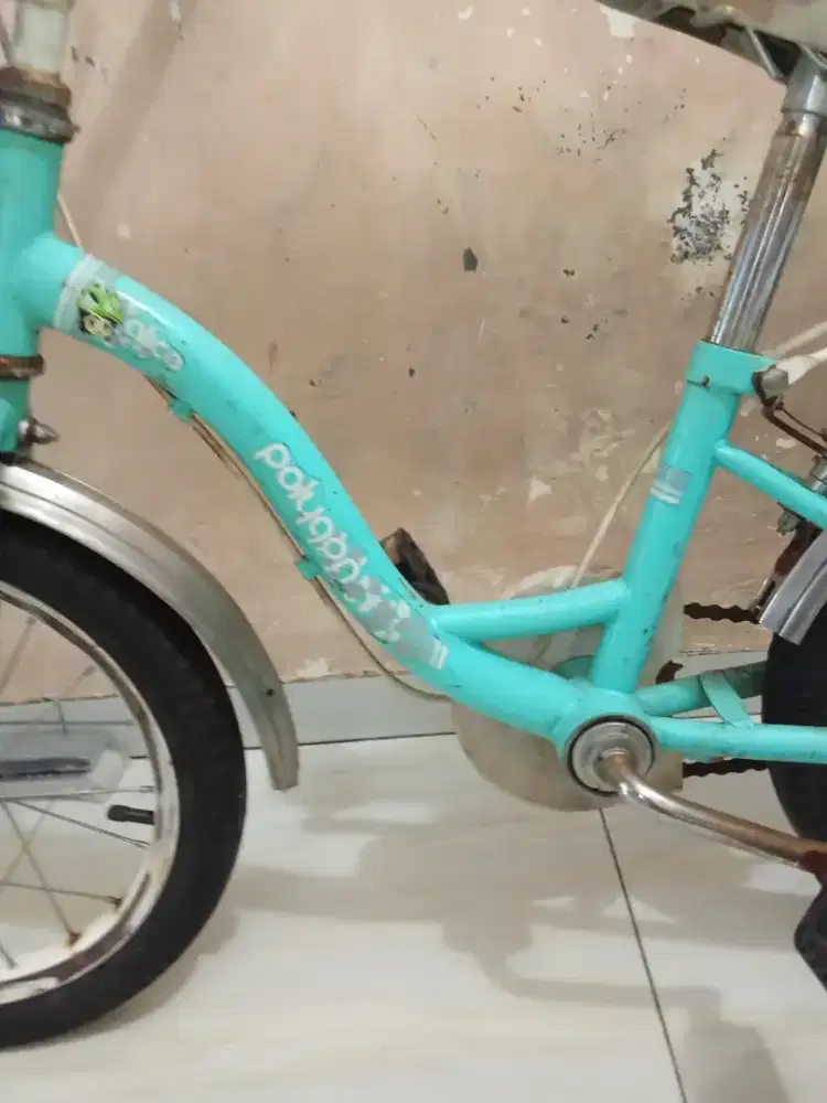 Speda mini ukuran 16 asli Polygon