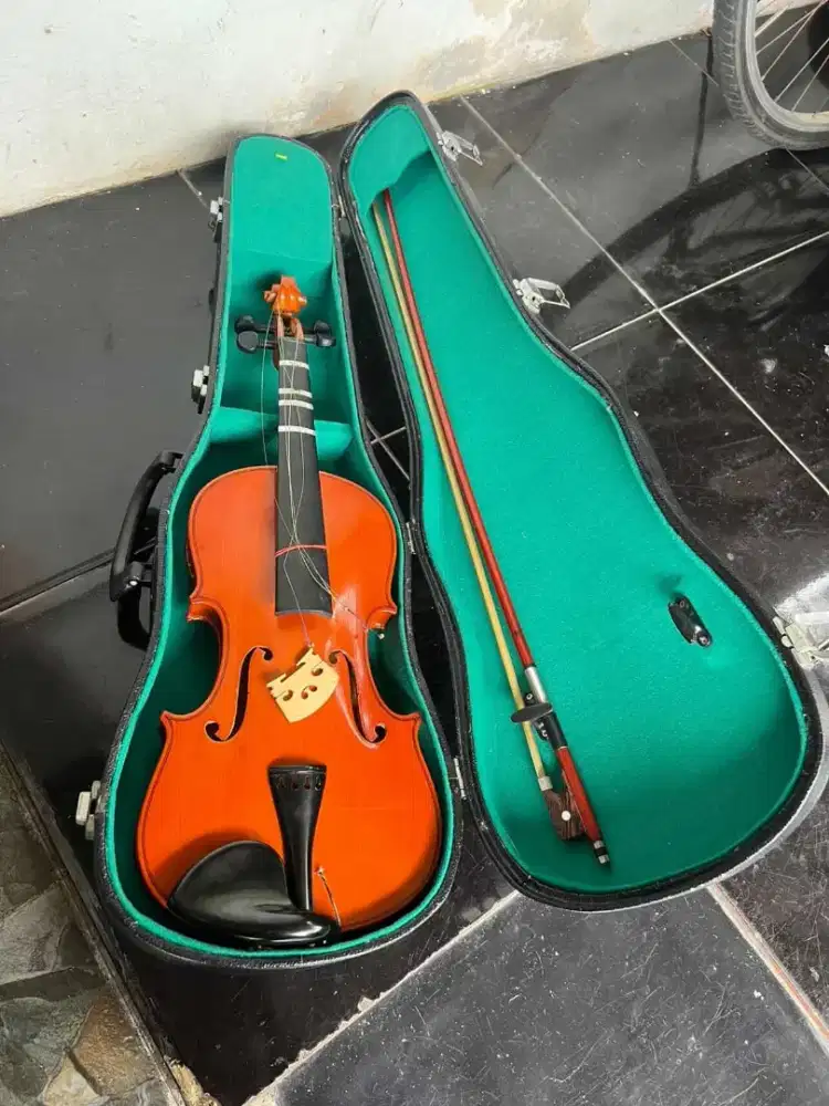 Biola pemula murah dan hardcase