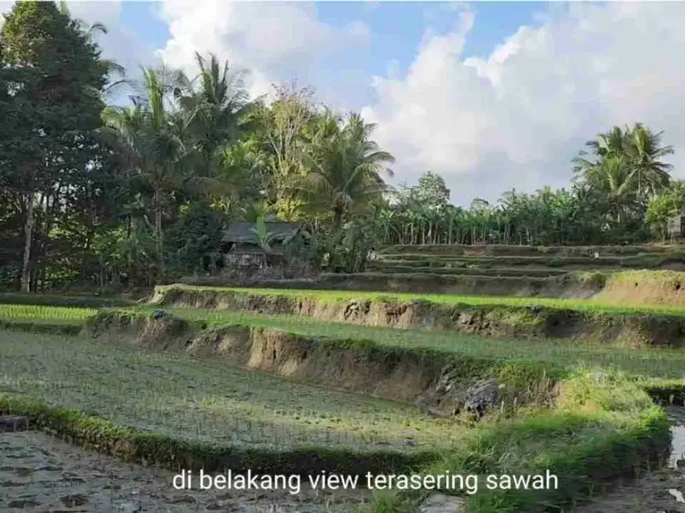 Tanah Komersial Langka Dekat Capella Ubud View Sawah
