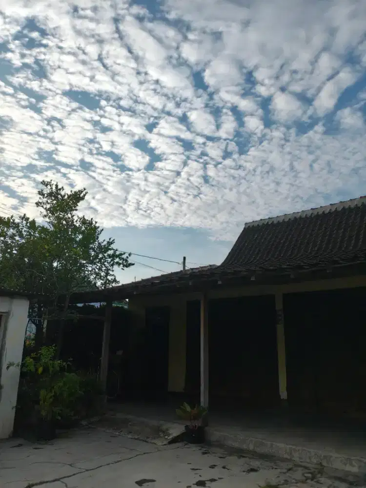 Dicari Asisten Rumah Tangga Perempuan Menginap