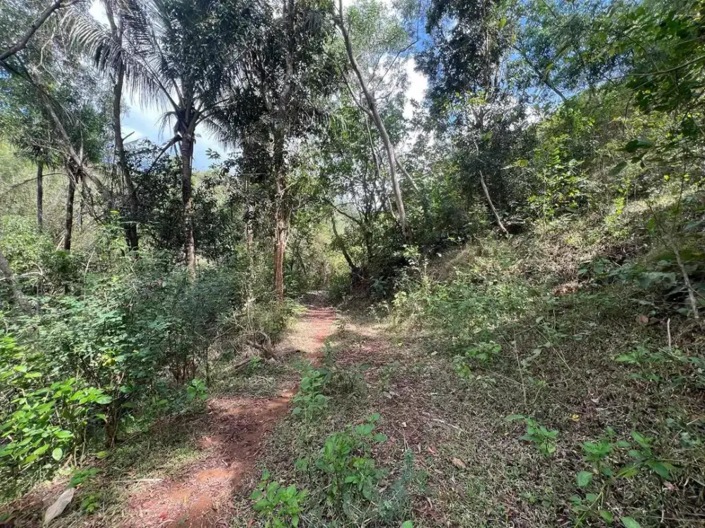 Tanah Murah Gila di Kuta Mandalika! 20 Juta/Are – Langka & Cepat Habis!