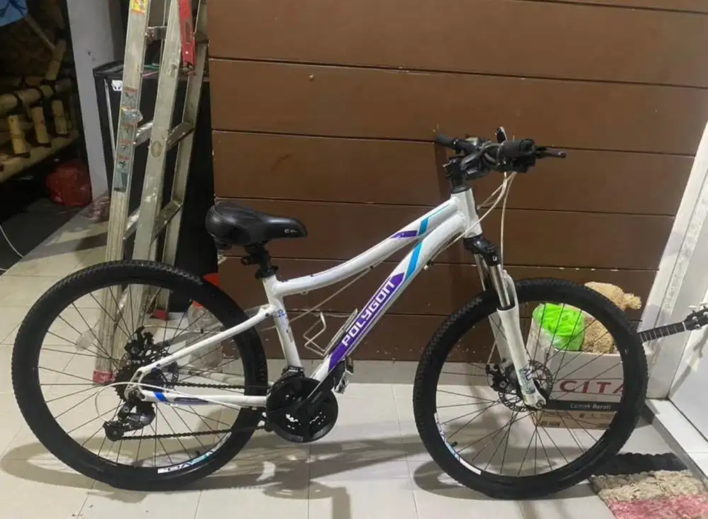 sepeda polygon cleo 2