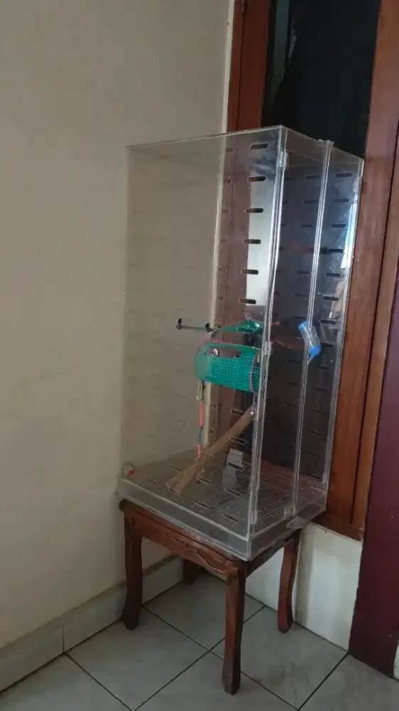 Kandang Sugar Glider