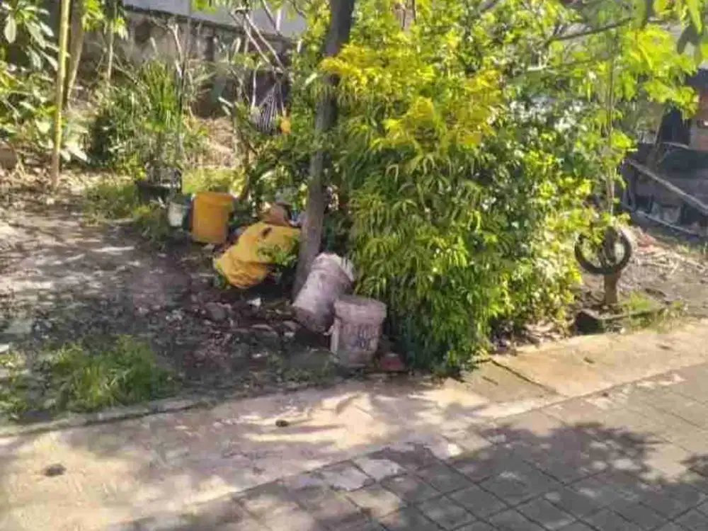 tanah Monang maning Denpasar barat bali