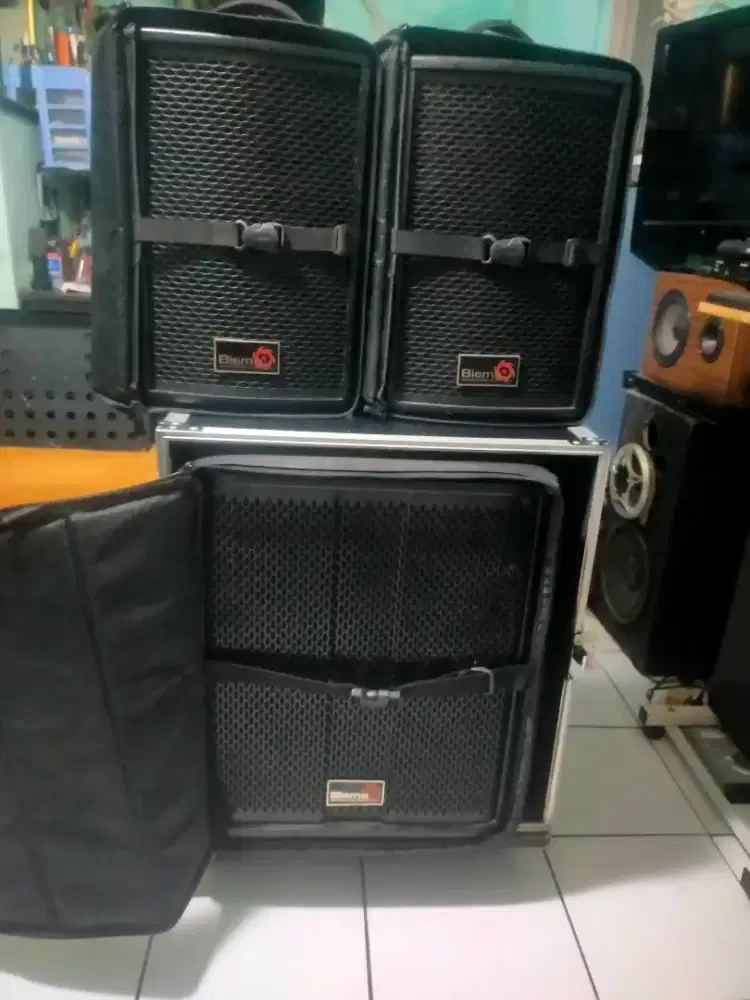 Biema TII-2/T 2000 Aktive speaker-made in USA