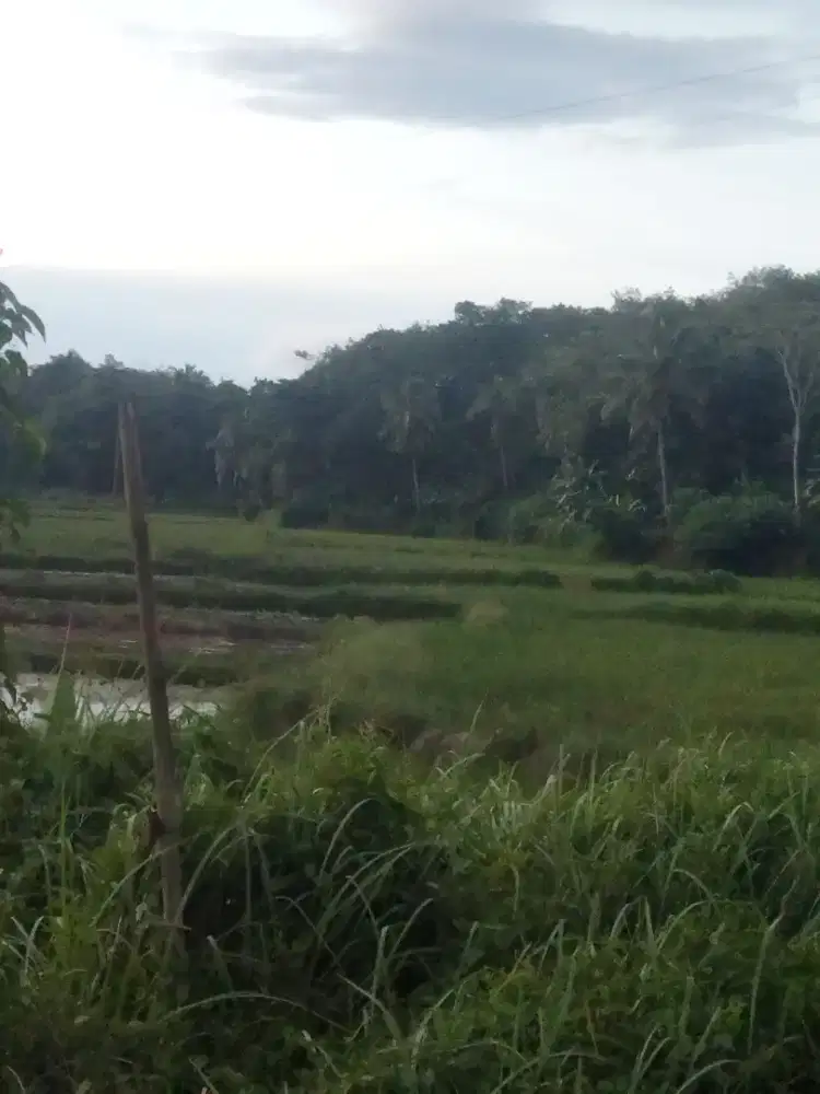 cari kerja apa aja domisili neglasari tanggerang