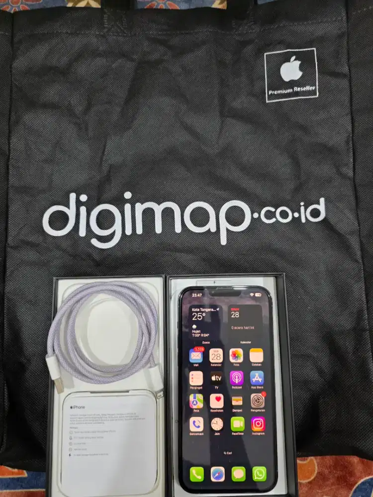 Iphone 13 Pro Max 256 Gb