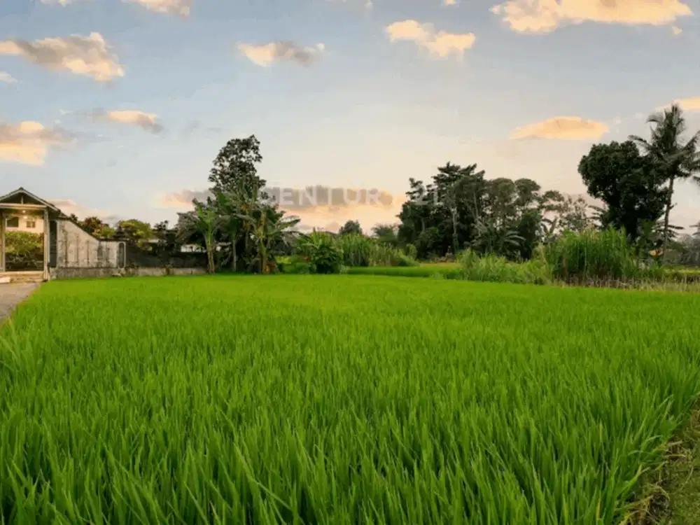 Tanah 1888m2 Sendangadi Sleman Investasi Privasi Absolut