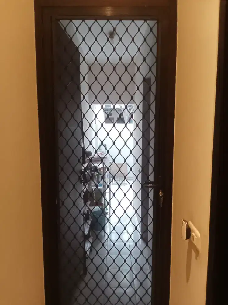 Pintu expanda kasa nyamuk