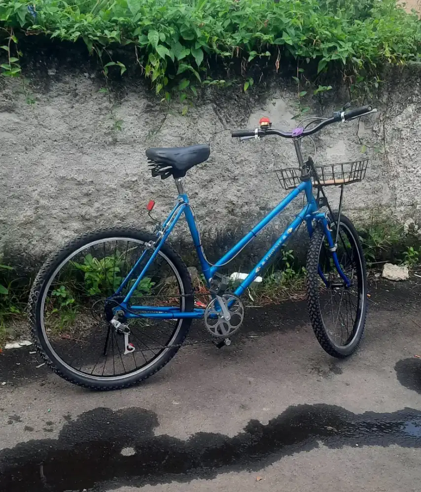 Jual sepeda onthel phonix uk 26 speed 6.