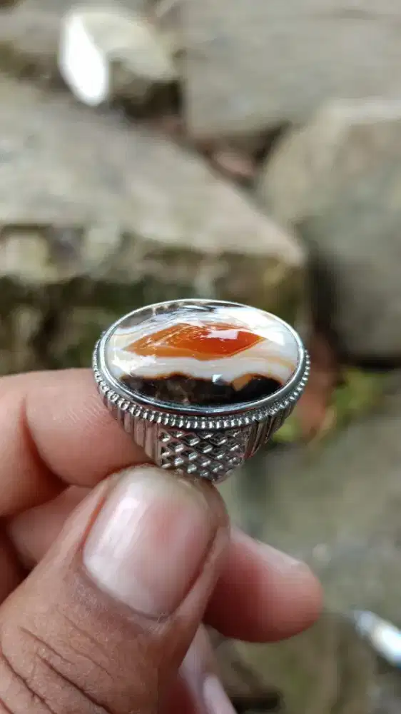 Junder kantong semar