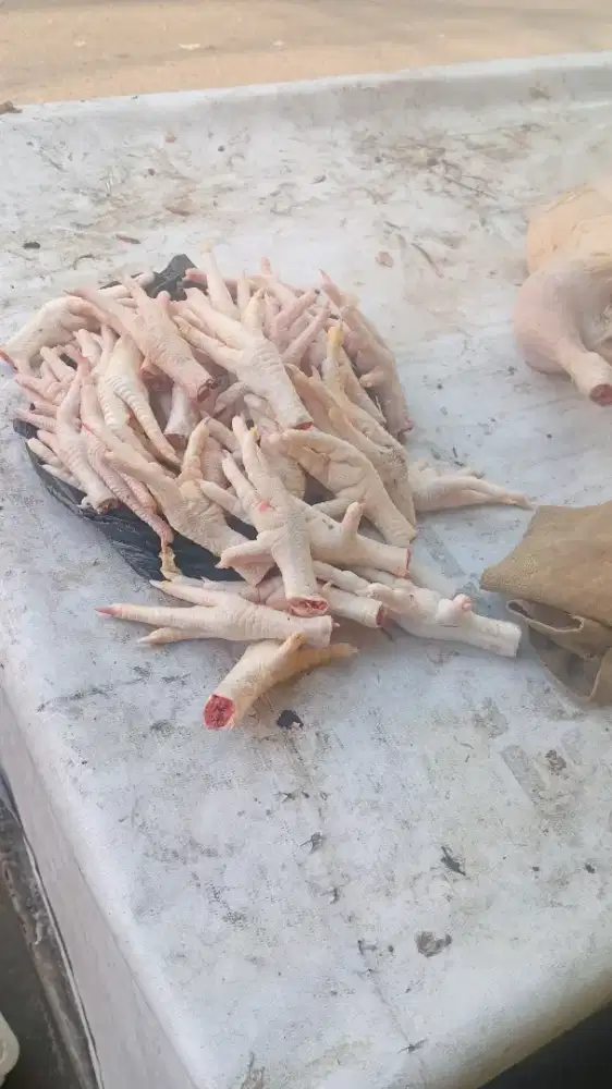 Lowongan kerja jualan ayam potong