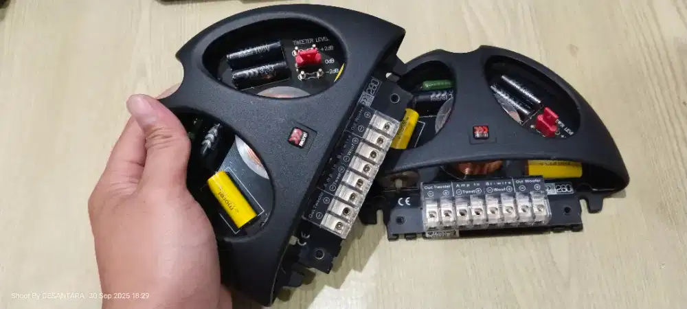 Crossover Morel Elate Carbon Pro