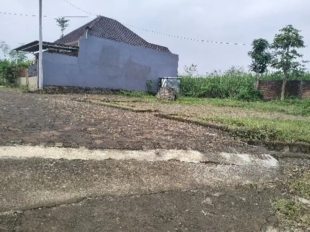 Tanah Strategis Pakis Malang Akses Mudah ke Tol dan Bandara Cocok untuk Investasi Jangka Panjang