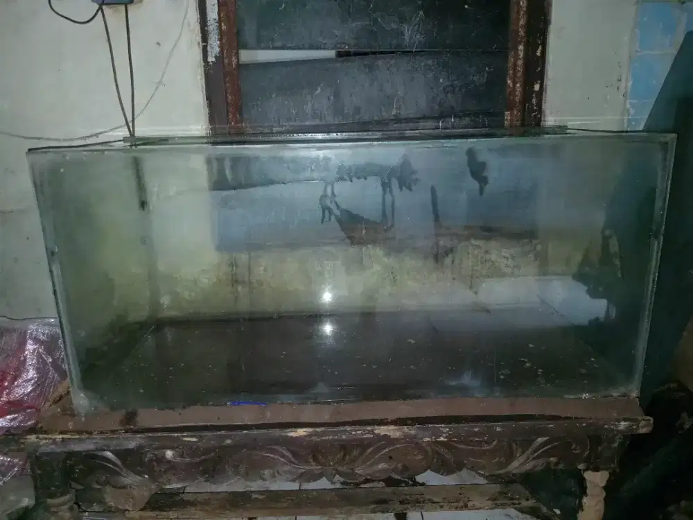Dua akuarium bekas