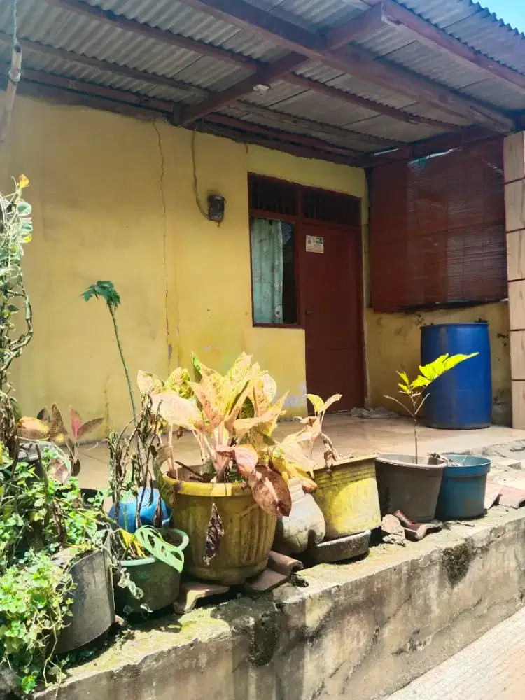 Rumah petakan 1 kamar
