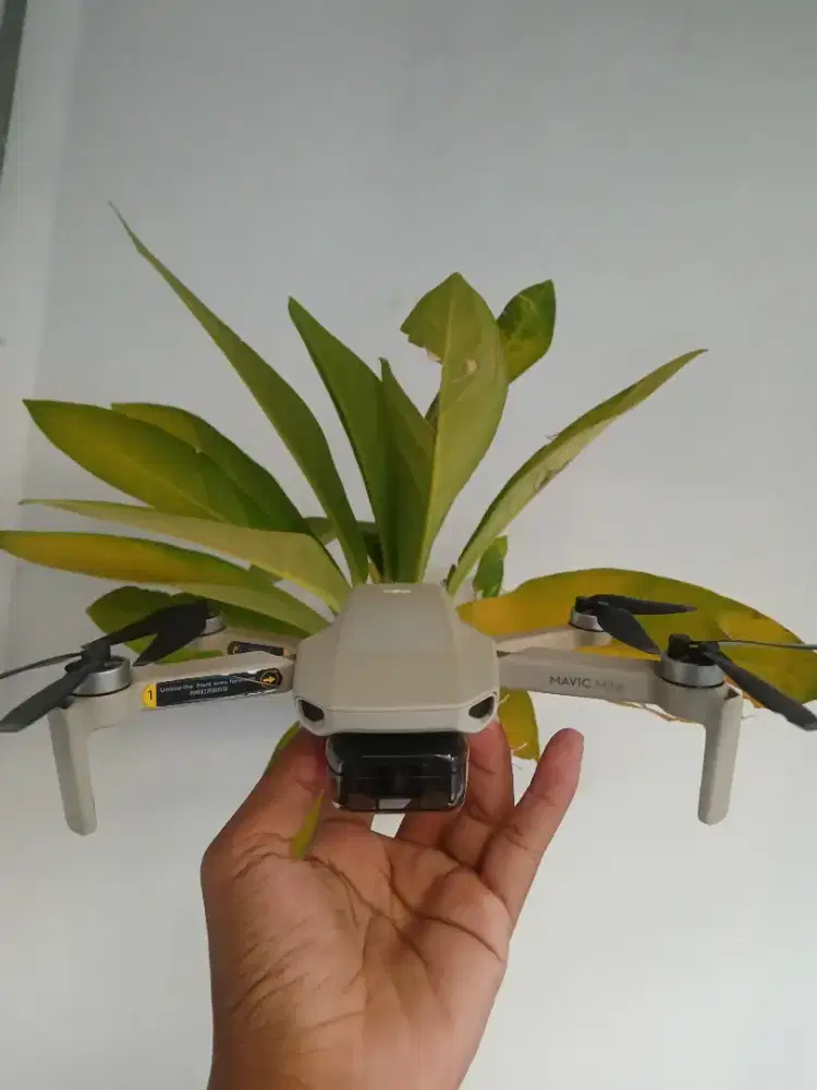 Drone DJI mavic mini