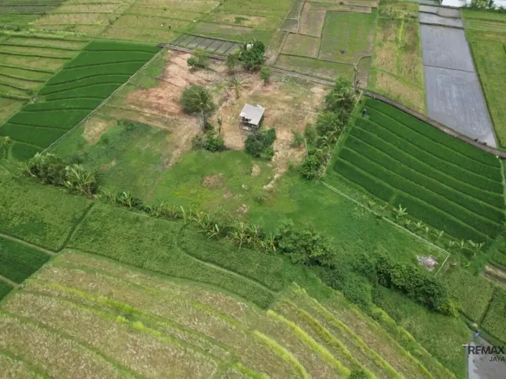 Tanah Perkebunan 35,9 Are Disewakan, di Beraban, Tabanan Area