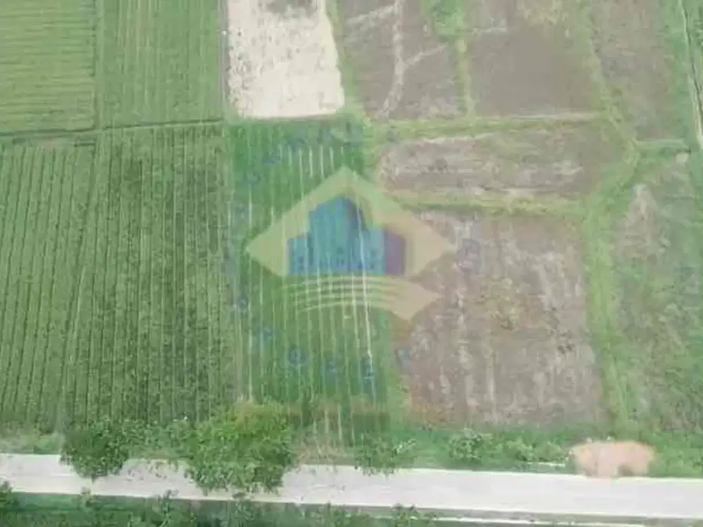 juql tanah murah zona industri di tunjung teja bojong pandan serang